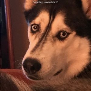 Meet your Posher, Sheri